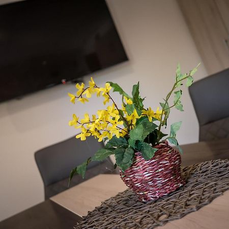 Mokka Apartman Segedín Exteriér fotografie